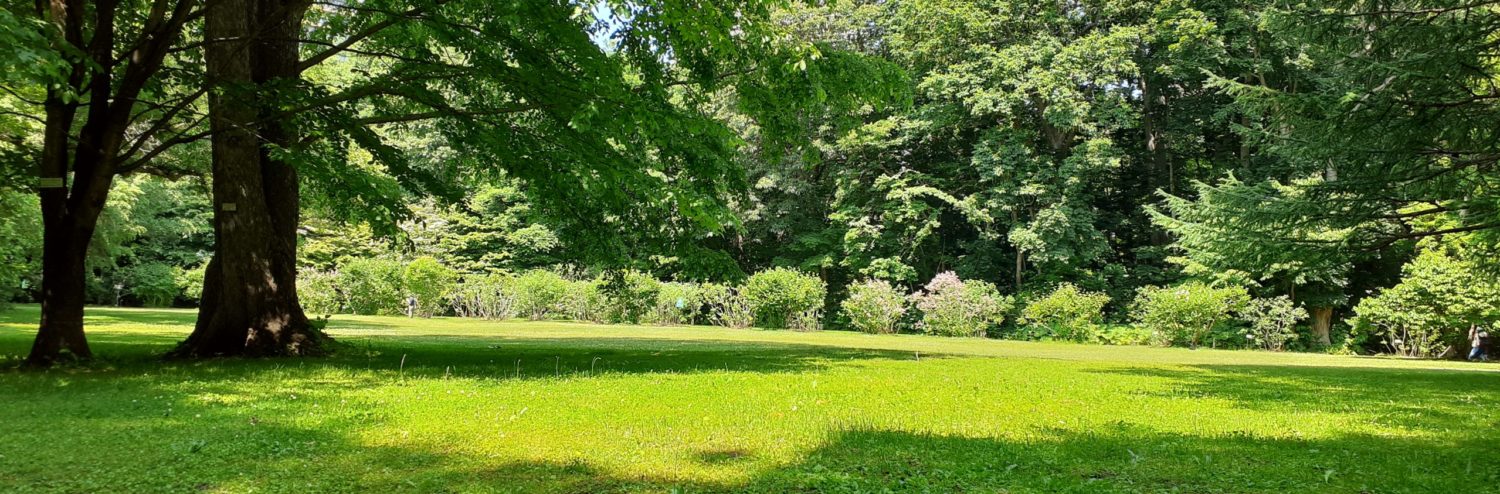 なるほど！法教育